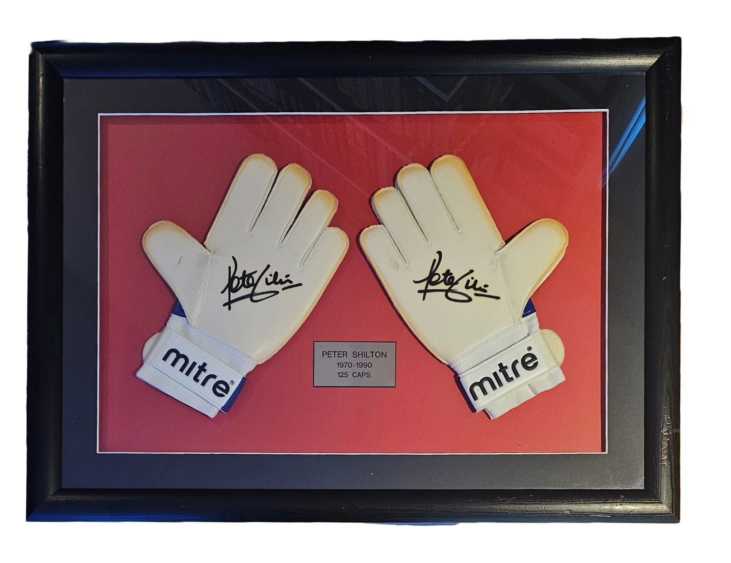 peter shilton signed  gloves