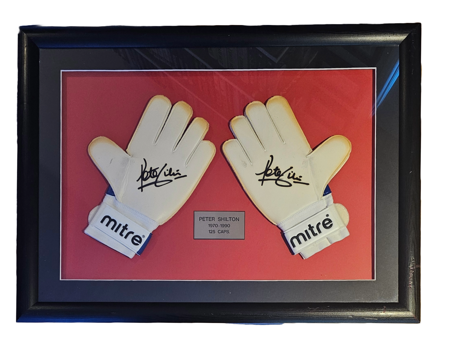 peter shilton signed gloves