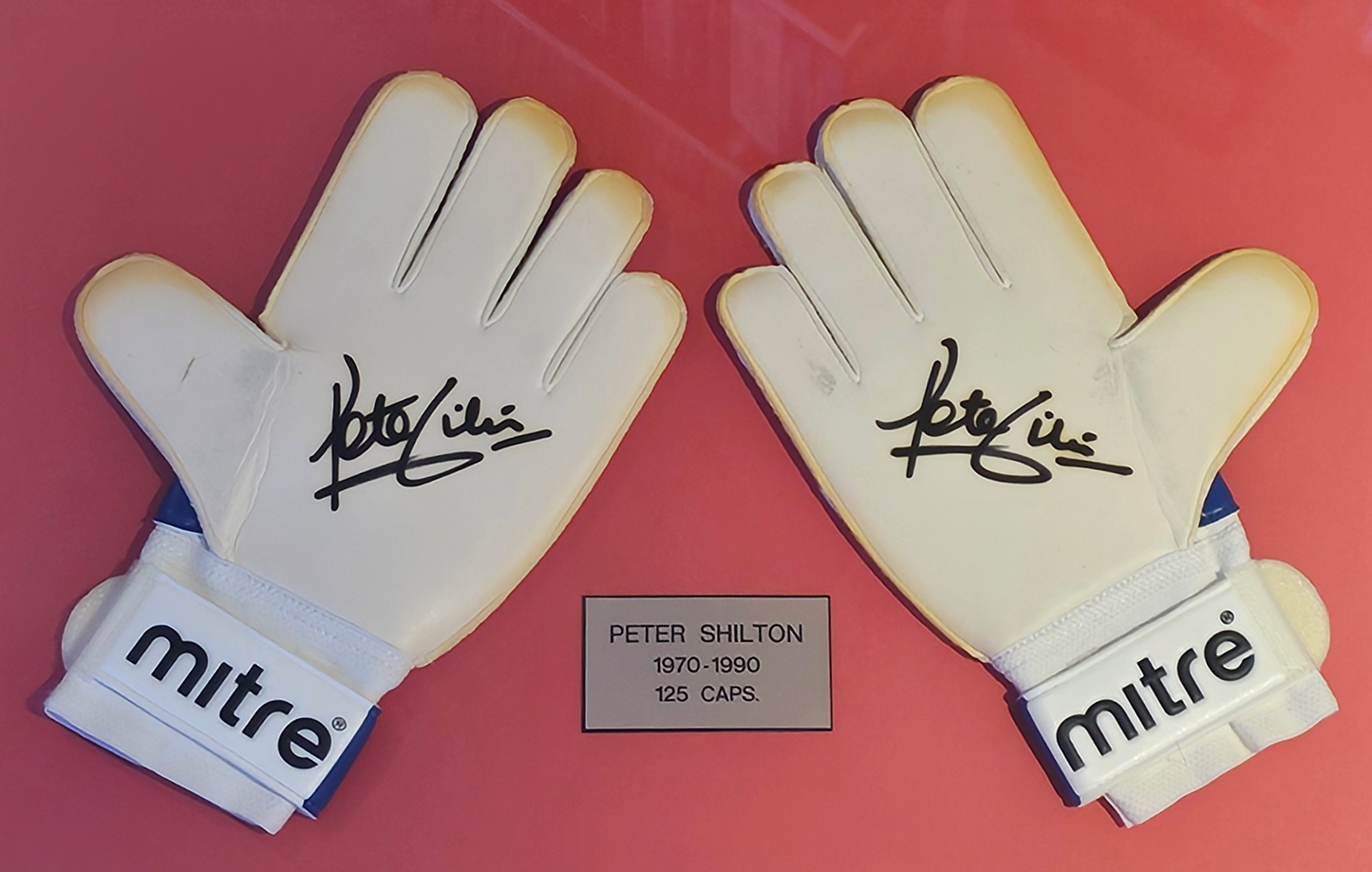 peter shilton signed gloves