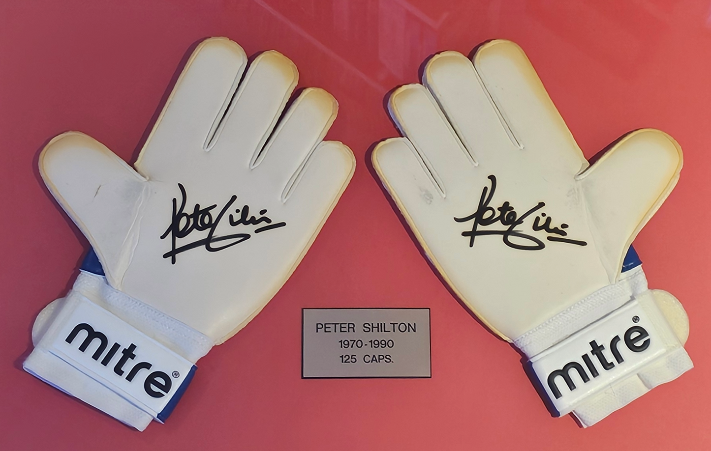 peter shilton signed  gloves