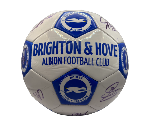 Brighton & Hove Albion Signed Ball