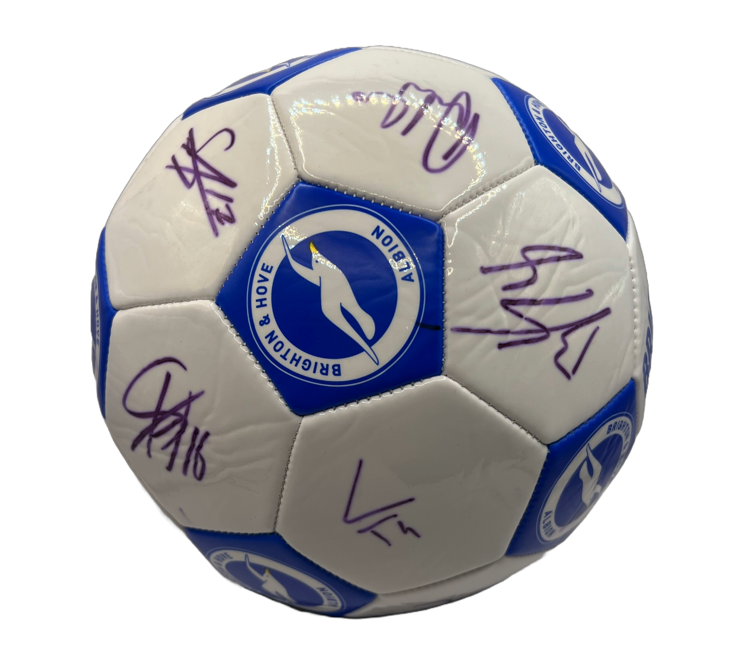 Brighton & Hove Albion Signed Ball