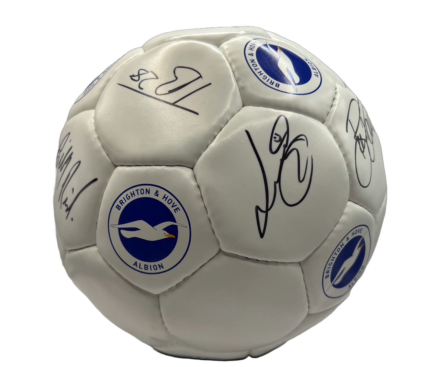 Brighton Signed Ball