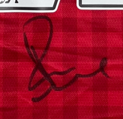 Paul Scholes