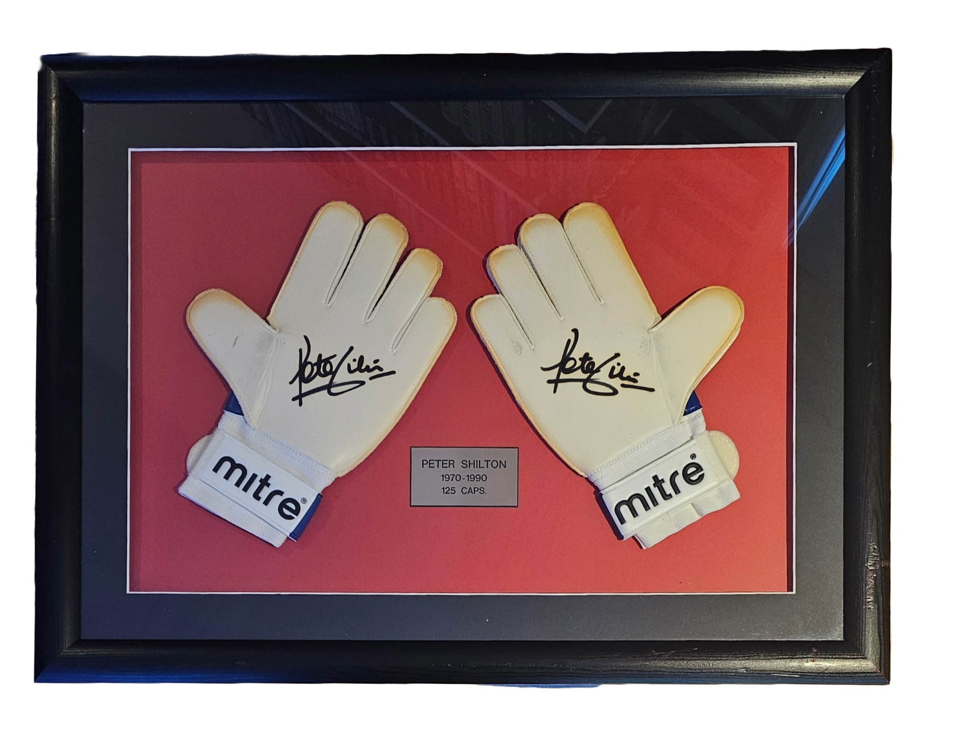 peter shilton signed  gloves