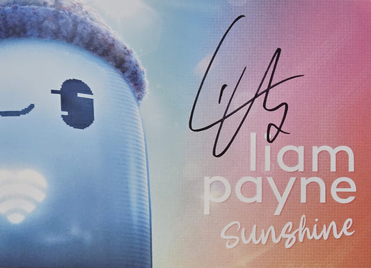 Liam Payne