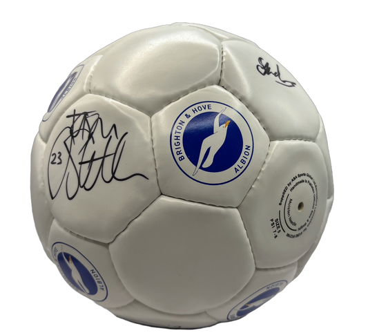 Brighton Signed Ball